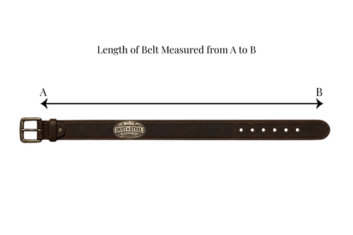 Desert Bloom Belt